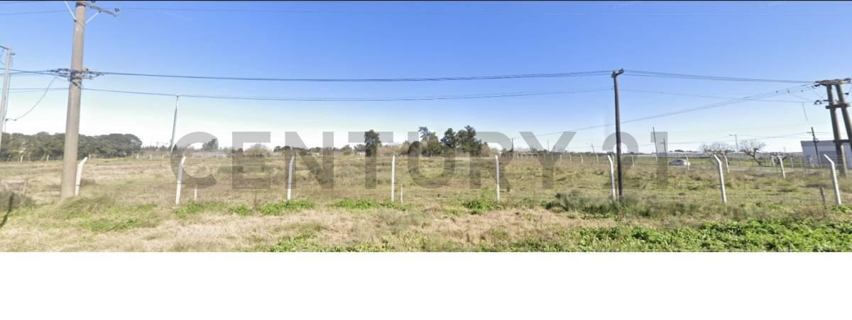Foto de Calle 38 esq 173 Melchor romero - La plata | Venta Fracción de campo, imagen 3