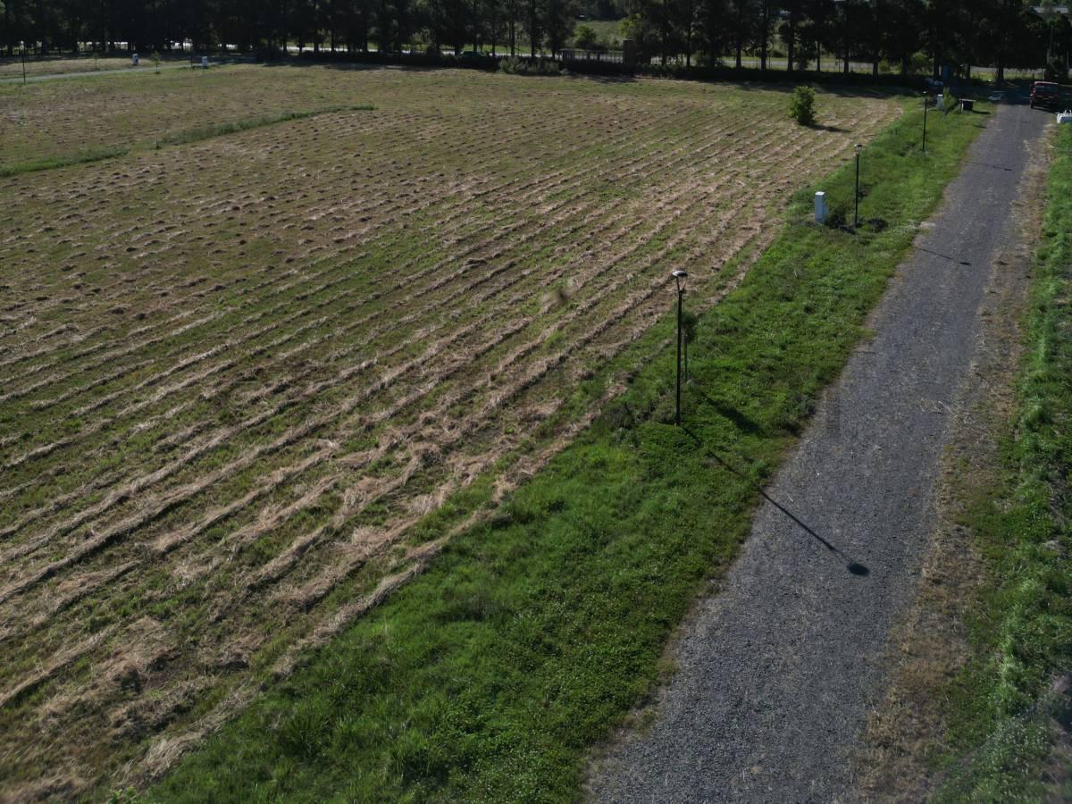 Foto de 637 y 31 Lote en LOS PINARES, ARANA, imagen 4