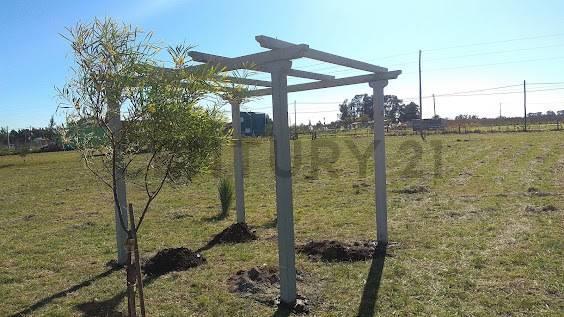 Foto de 141 e/ 639 y 641 | Lote - Tereno | Venta | Arana, La Plata, imagen 1