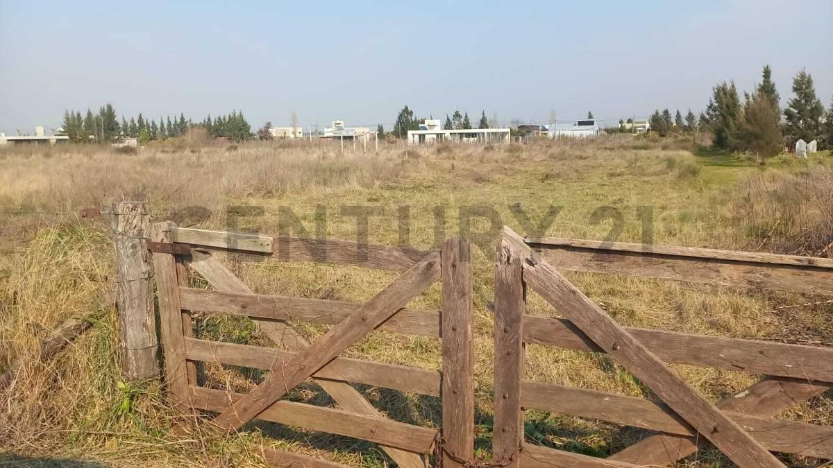 Foto de 141 e/ 639 y 641 | Lote - Tereno | Venta | Arana, La Plata, imagen 2