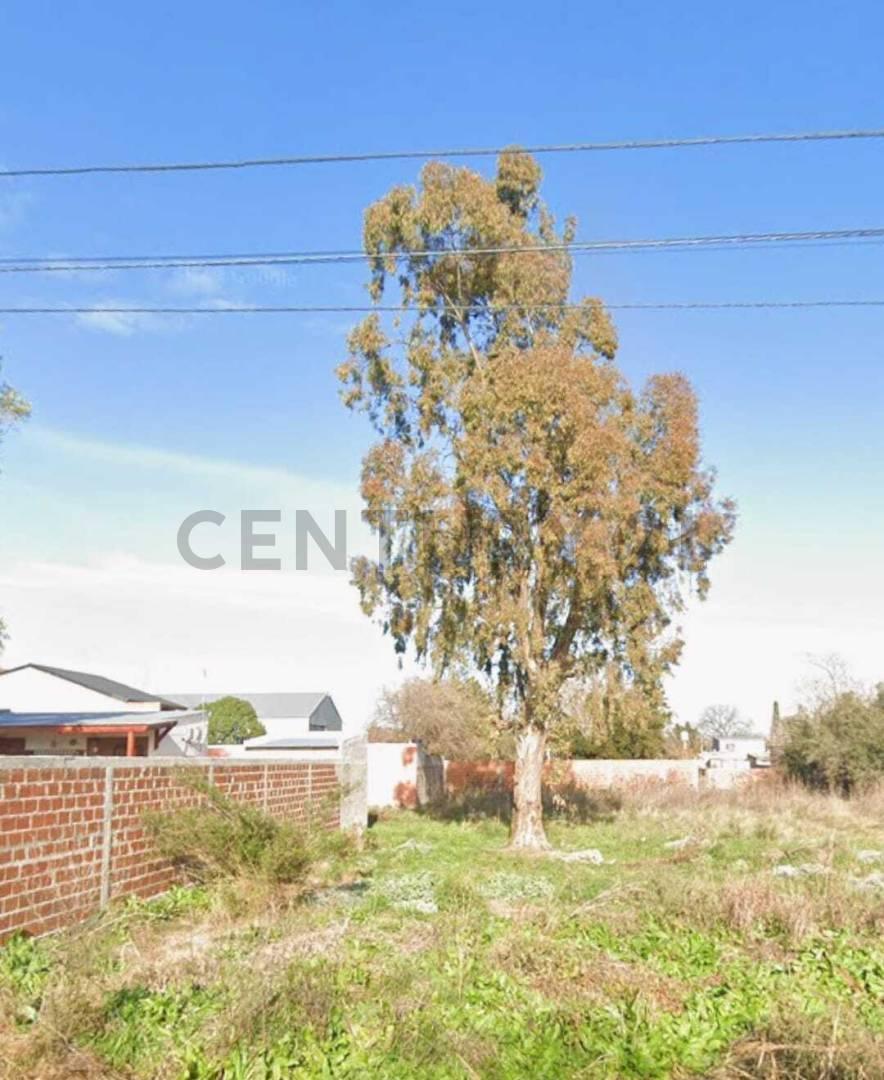 Foto de Lote - Terreno en venta Lisandro Olmos La Plata, imagen 2