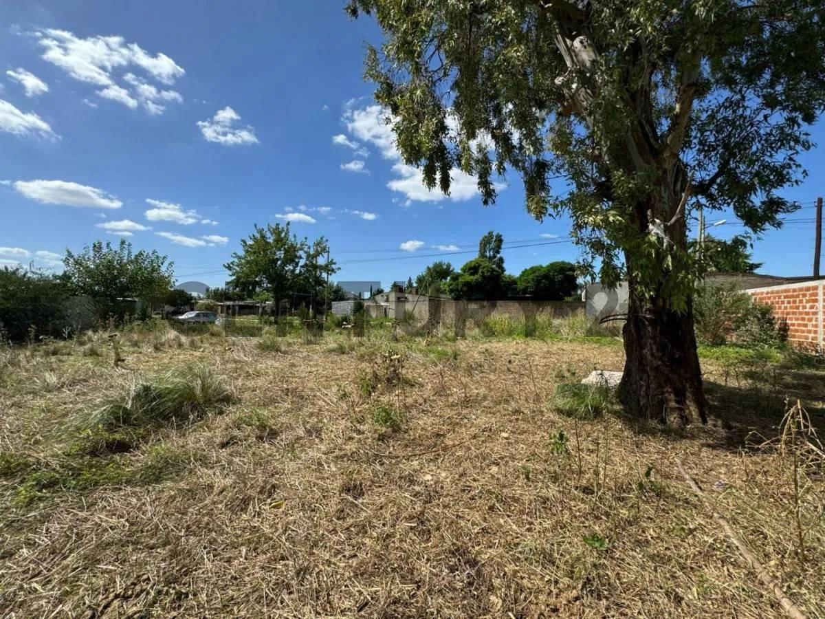 Foto de Lote - Terreno en venta Lisandro Olmos La Plata, imagen 3