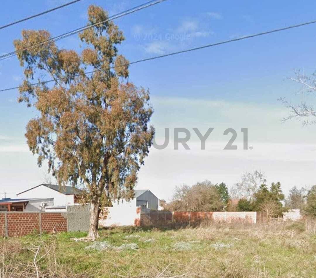 Foto de Lote - Terreno en venta Lisandro Olmos La Plata, imagen 4