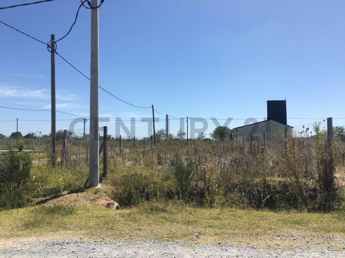 Foto de TERRENO EN VENTA EN LA PLATA, imagen 2