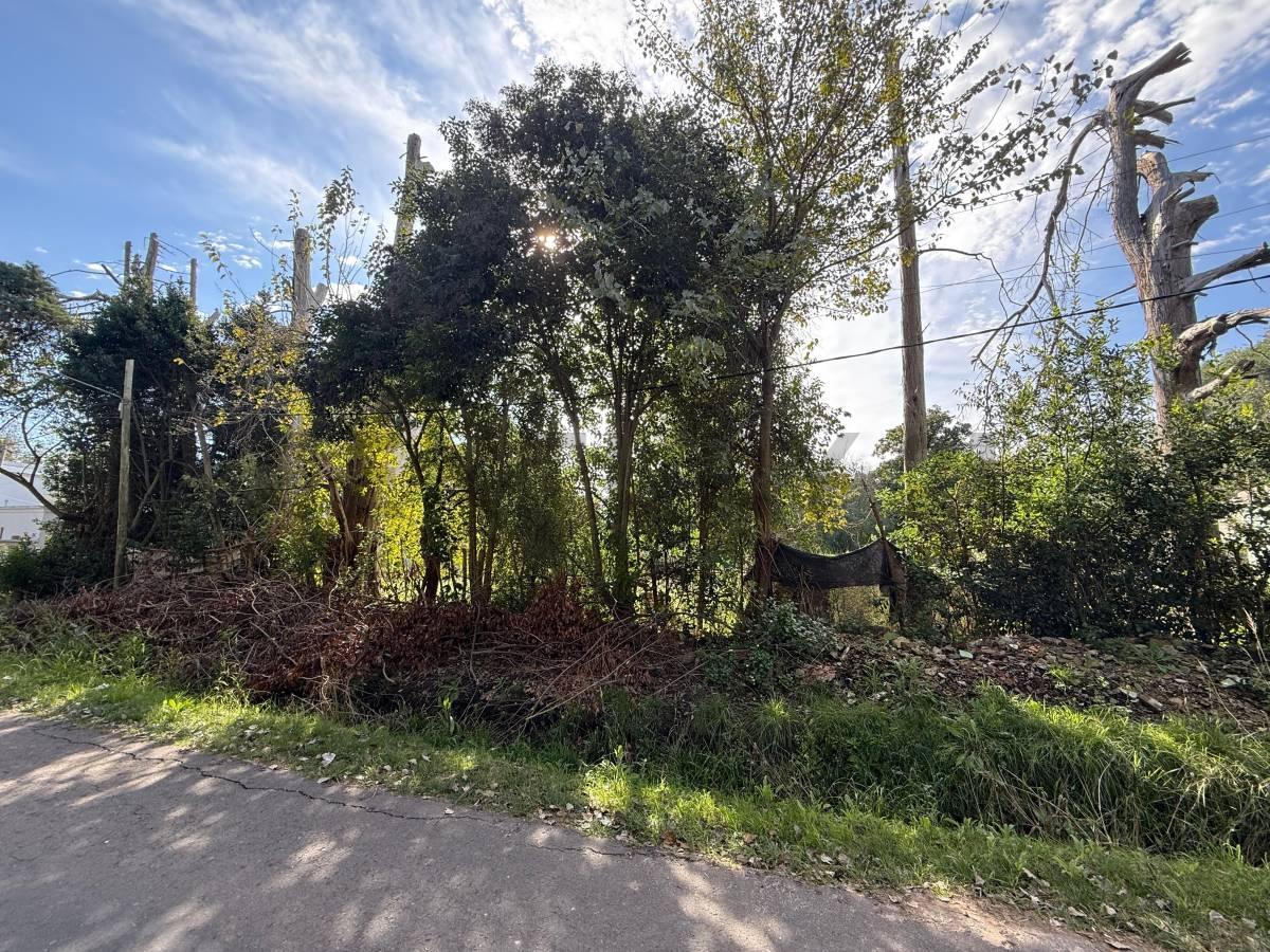Foto de 602 y 11 bis Lote en venta, La Plata Sicardi, imagen 3