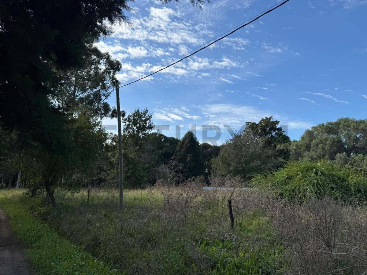 Foto de 602 y 11 bis Lote en venta, La Plata Sicardi, imagen 1