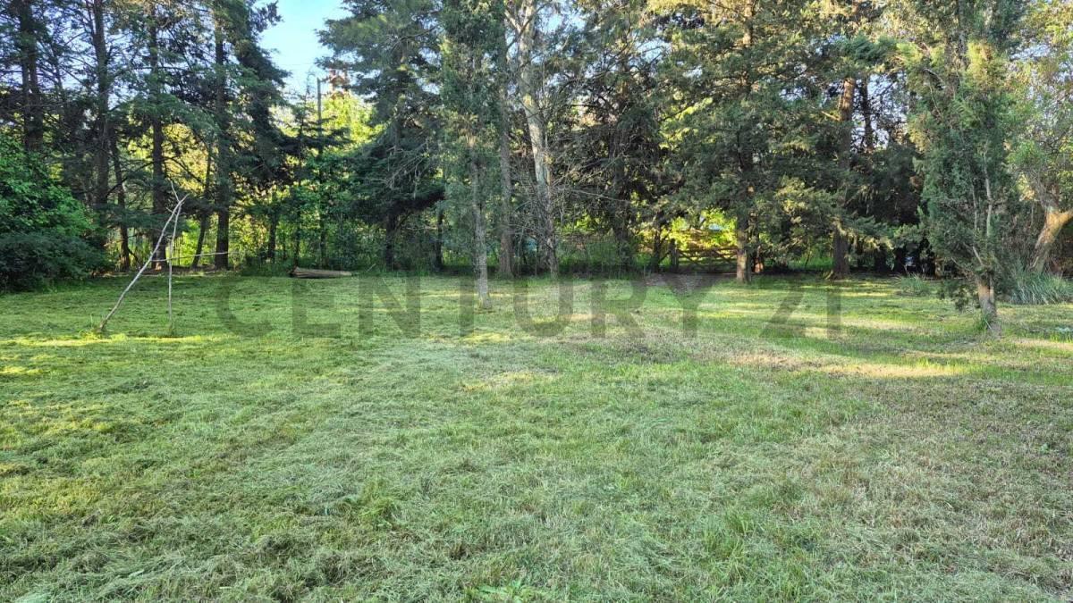 Foto de LOTE BARRIO EL RINCÓN - DIAG. 430 ENTRE 134 Y 135, imagen 5