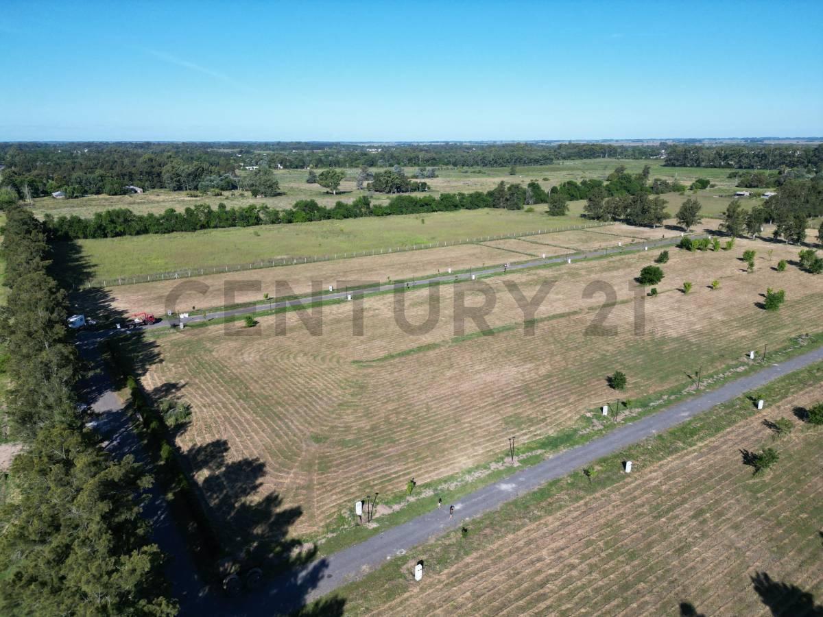 Foto de LOTES EN VENTA, LOS PINARES, ARANA 637 Y 31, imagen 3