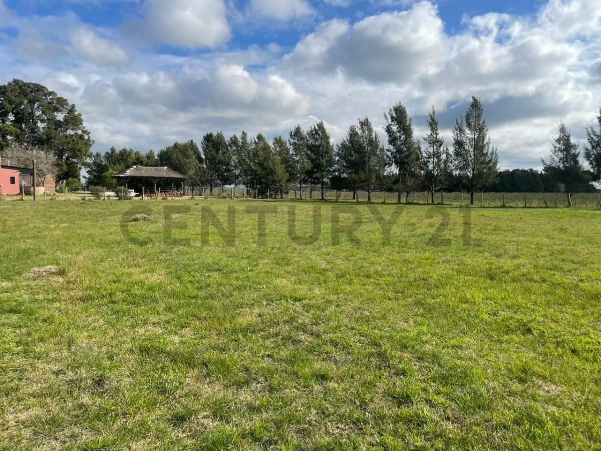 Foto de Lote en venta en Poblet Barrio La Escondida, imagen 4