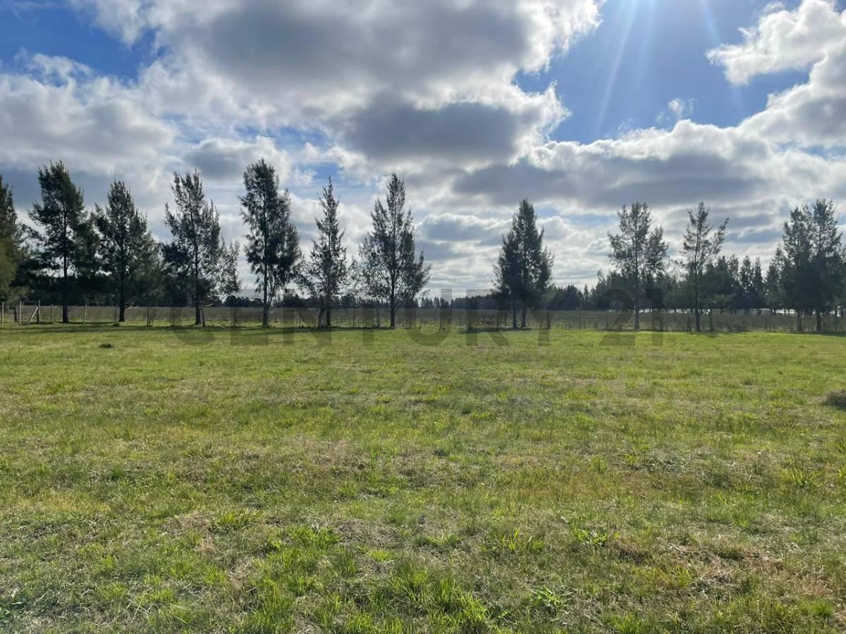 Foto de Lote en venta en Poblet Barrio La Escondida, imagen 1