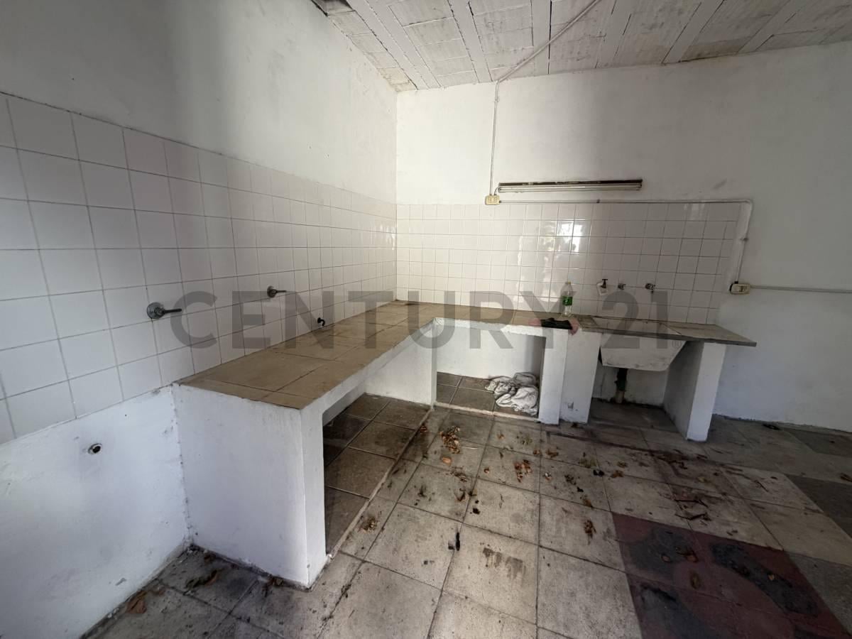 Foto de VENTA EN BLOQUE 2 CASAS+ GALPON Y AMPLIO PARQUE EN 10 79 Y 80, imagen 2