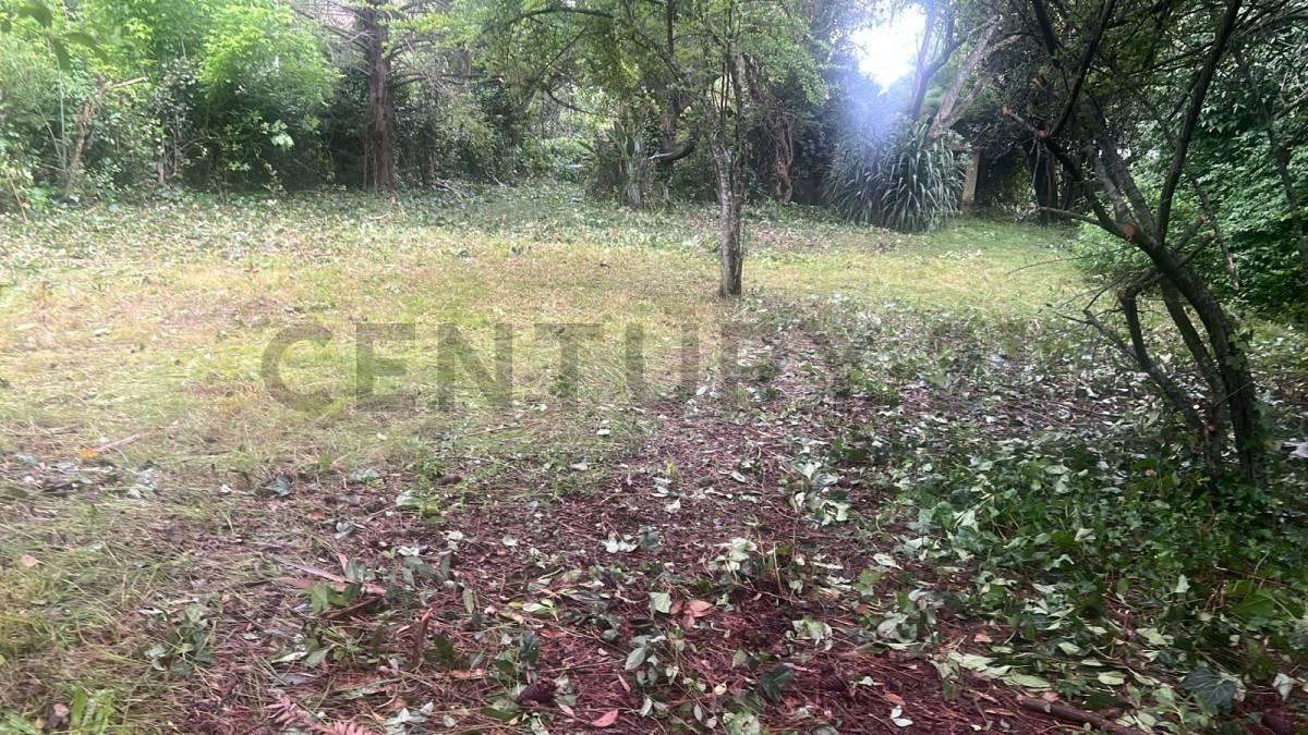 Foto de VILLA ELISA - Terreno en esquina - 407 y 24 -, imagen 4