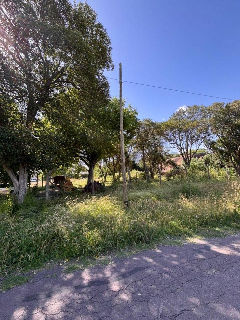 Foto de 134 y 513 LOTES EN VENTA EN BLOCK GORINA, imagen 2