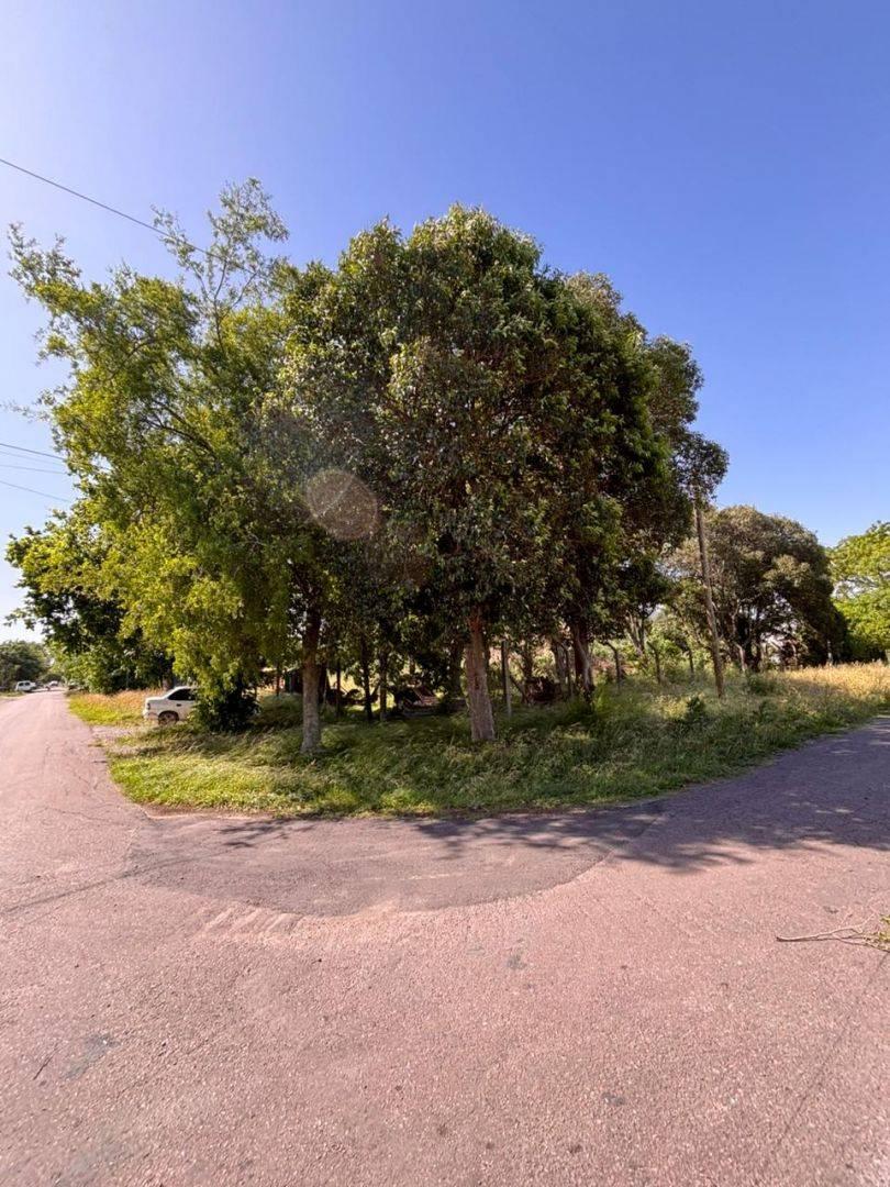 Foto de 134 y 513 LOTES EN VENTA EN BLOCK GORINA, imagen 1