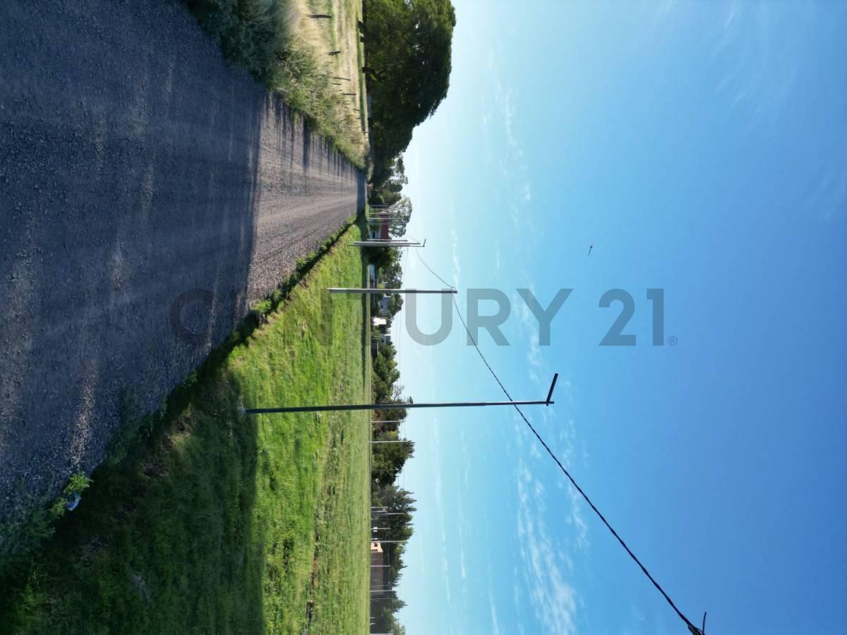 Foto de Lote en venta Sicardi, imagen 3