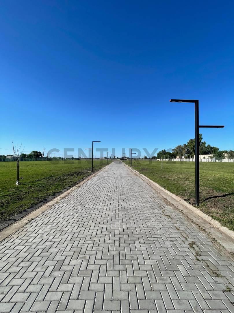 Foto de VENTA LOTE GORINA 138 E/ 479 Y 480, imagen 4