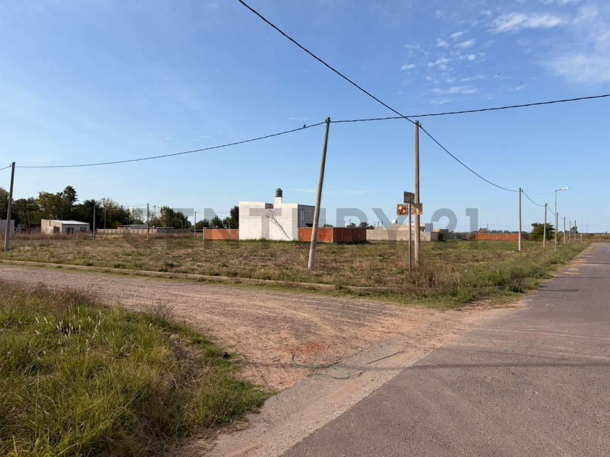 Foto de Lotes en venta – Barrio La Cortadera - Avenida 7 entre 628 y 630, imagen 4