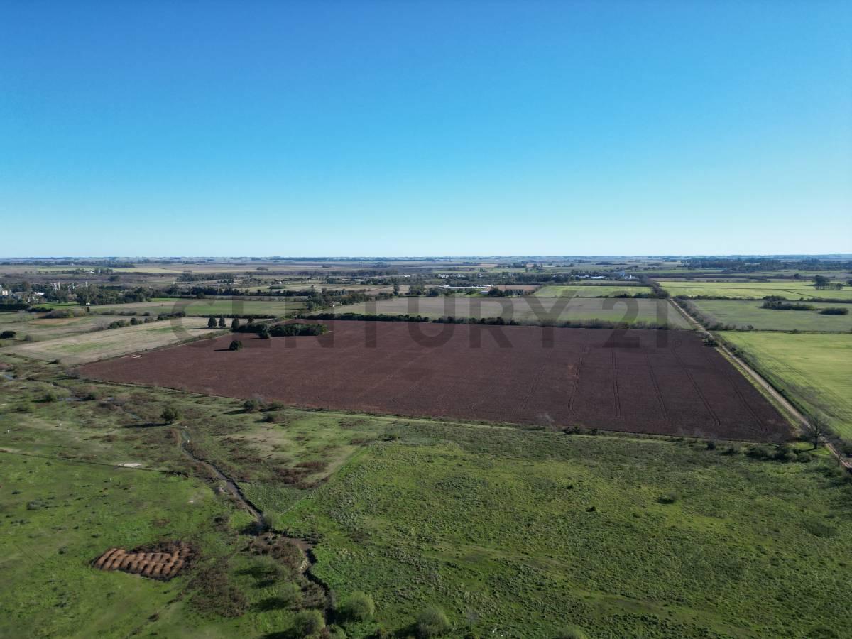 Foto de RUTA 8 Y RUTA 51 CAMPO 37 HA ARRECIFES, BUENOS AIRES, imagen 3