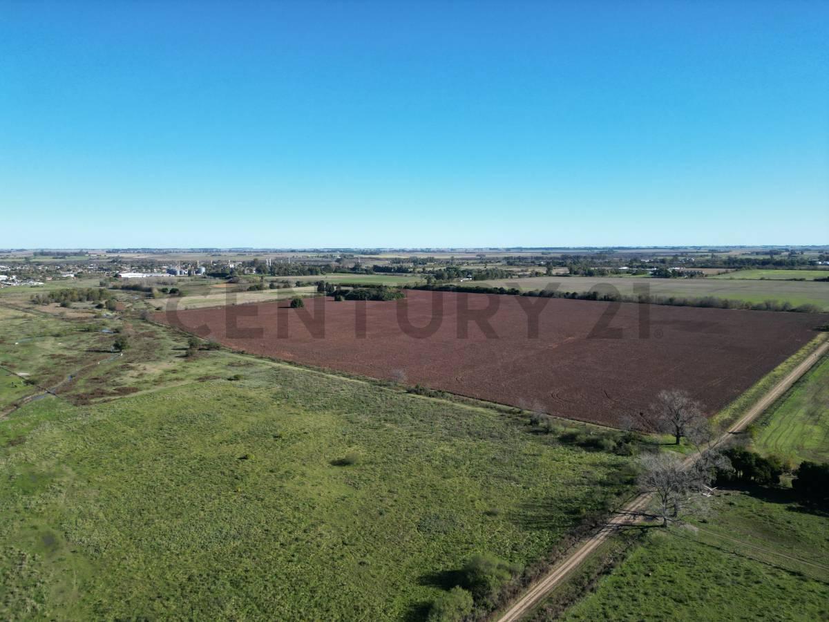 Foto de RUTA 8 Y RUTA 51 CAMPO 37 HA ARRECIFES, BUENOS AIRES, imagen 1
