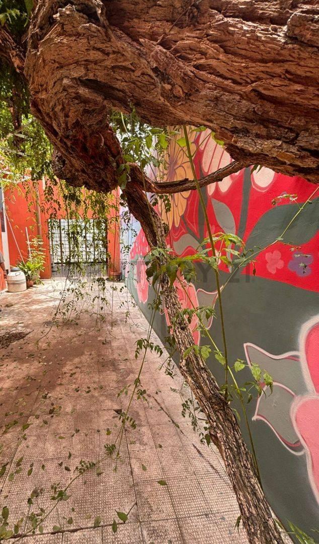 Foto de 530 entre 2 bis y 3 Casa 4 dormitorios en VENTA Tolosa, La Plata, imagen 1