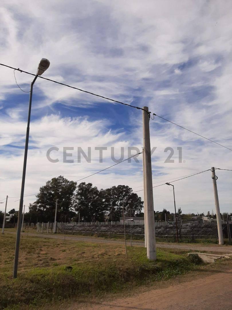 Foto de Lote en venta, imagen 4