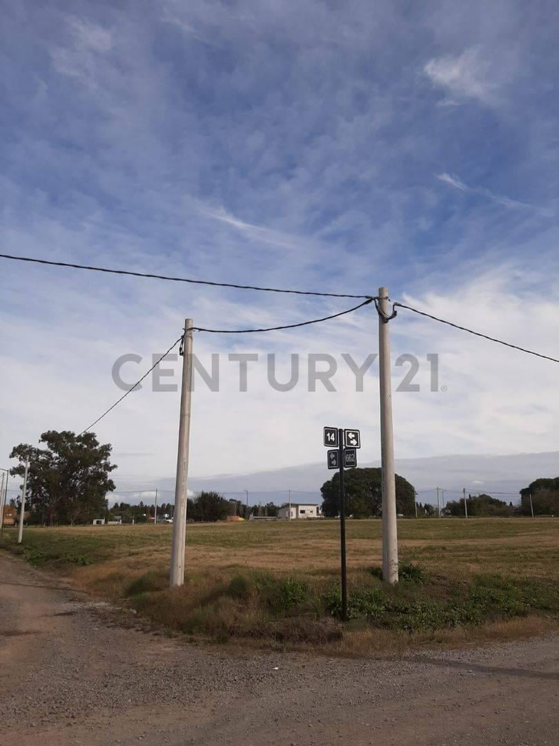 Foto de Lote en venta, imagen 3
