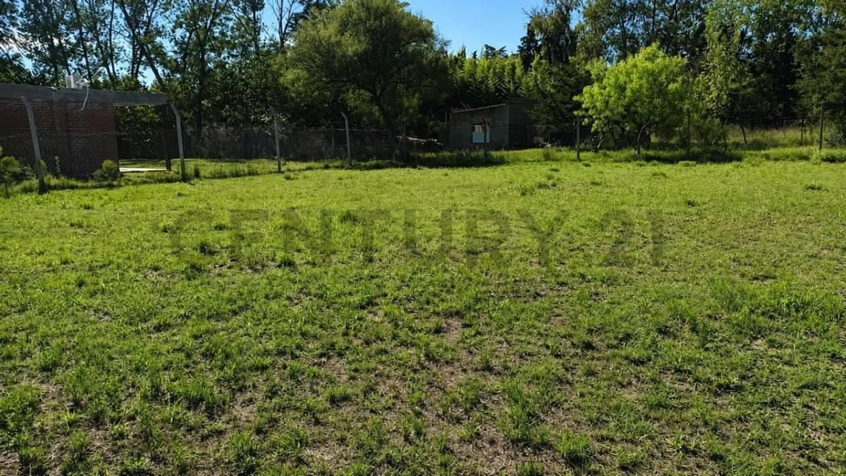 Foto de TERRENO EN VENTA EN VILLA ELISA, imagen 2