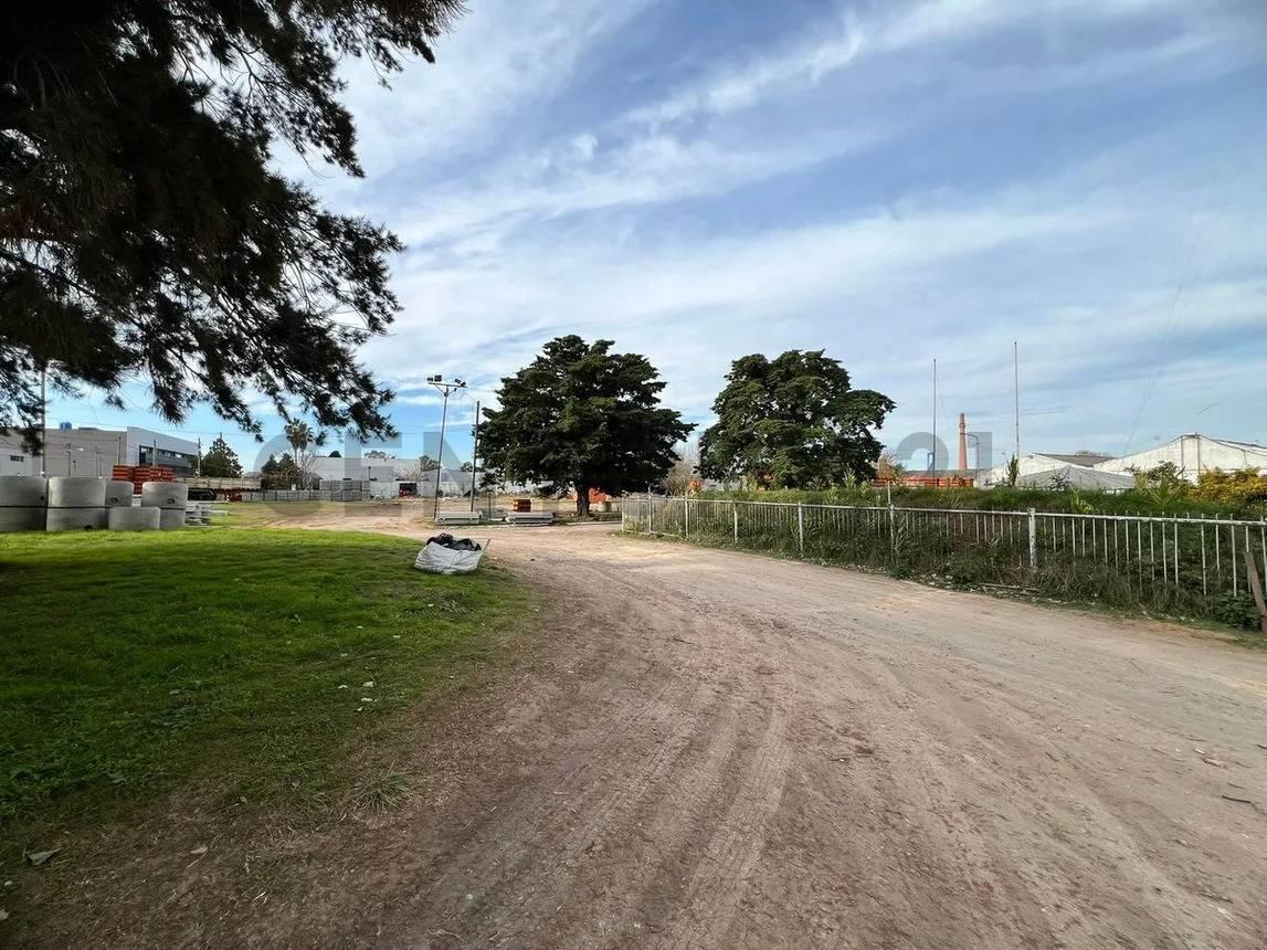 Foto de Lote en venta en Gonnet, entre caminos, 2 hectáreas, imagen 4