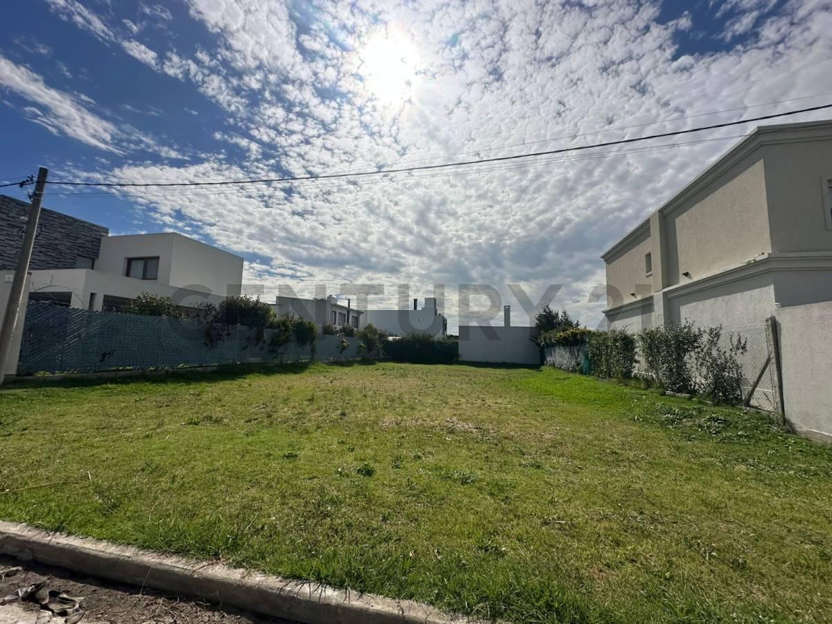 Foto de Lotes en venta en Las Catalinas, Gorina, imagen 1