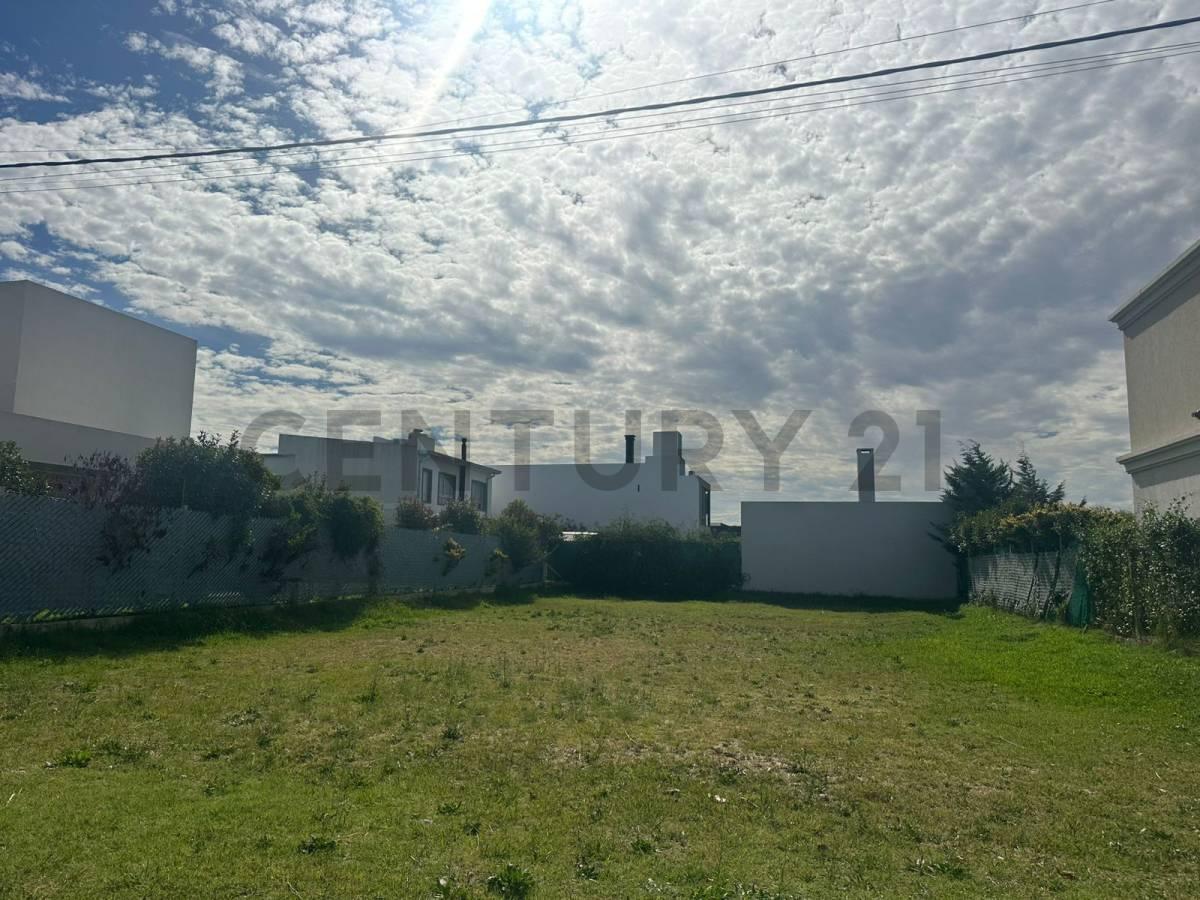 Foto de Lotes en venta en Las Catalinas, Gorina, imagen 3