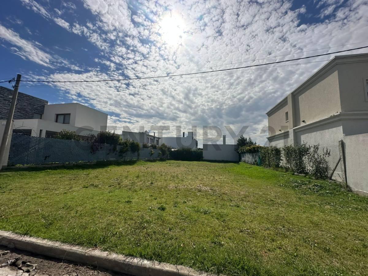 Foto de Lotes en venta en Las Catalinas, Gorina, imagen 2
