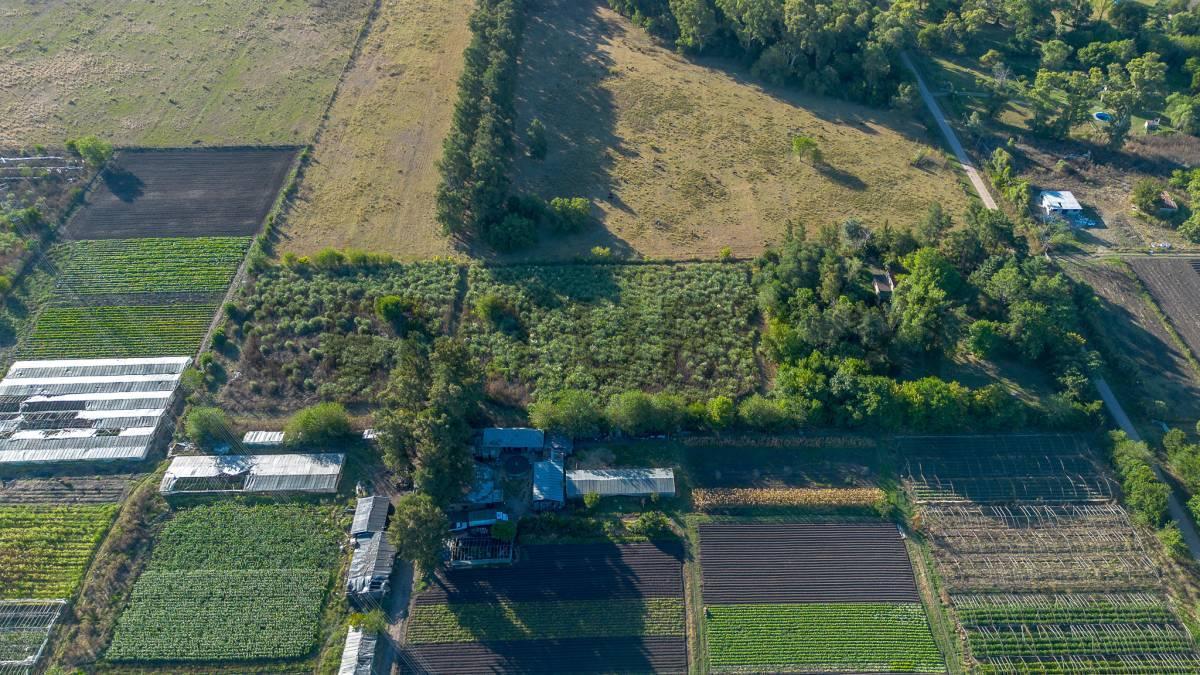 Foto de 2 hectareas en venta en Abasto, imagen 5