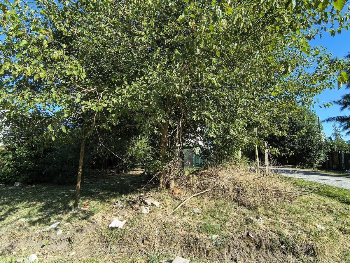 Foto de LOTE TERRENO EN VENTA EN LA PLATA, imagen 5