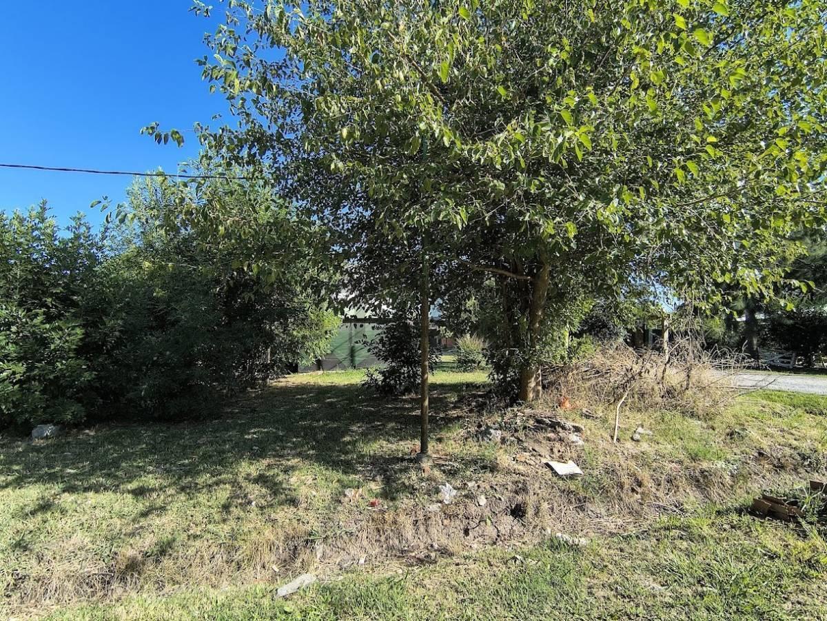 Foto de LOTE TERRENO EN VENTA EN LA PLATA, imagen 3