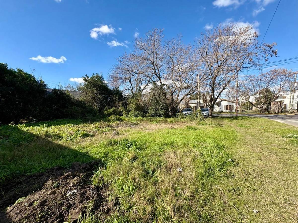Foto de LOTES EN VENTA EN VILLA ELISA, imagen 5