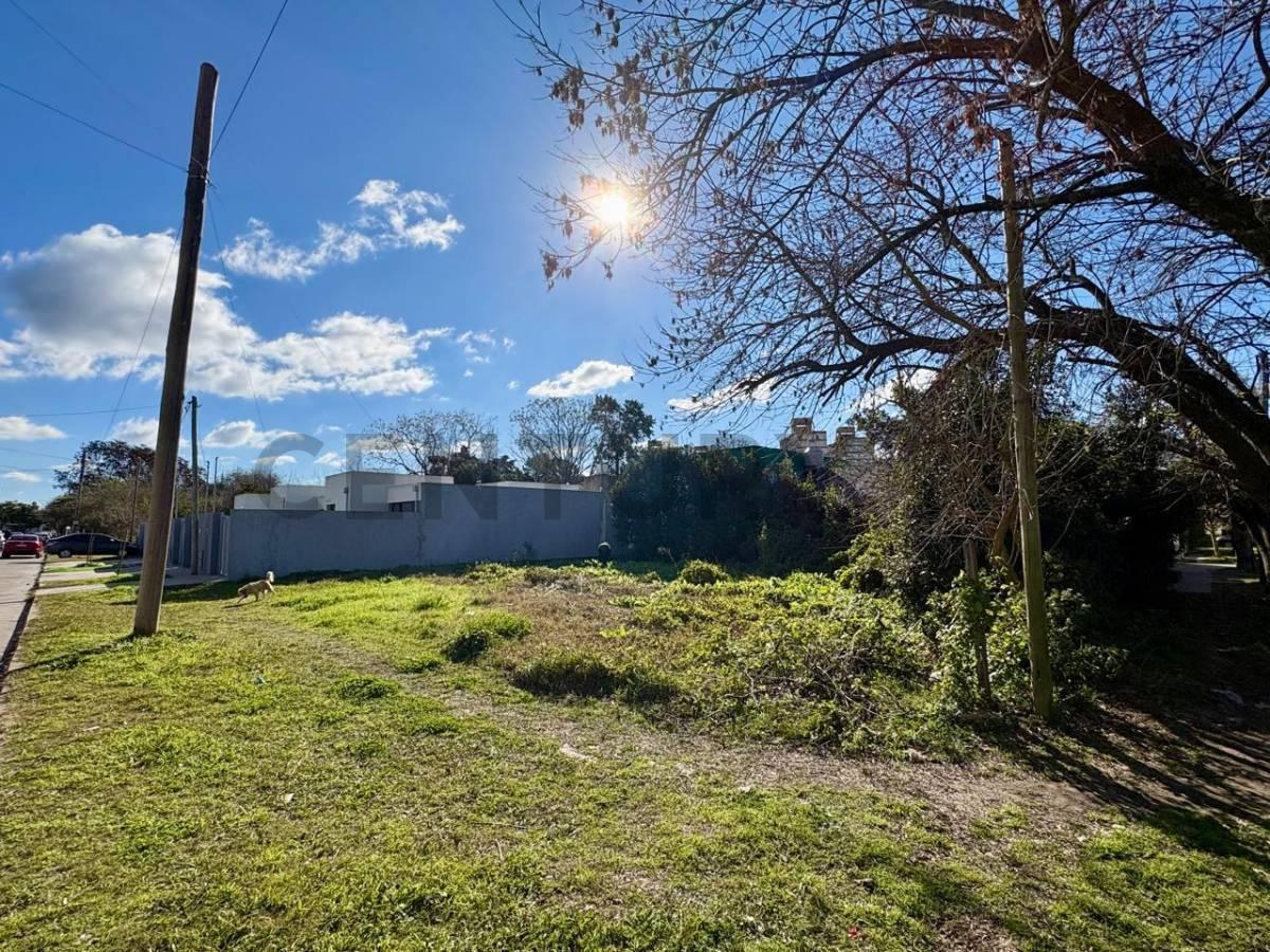 Foto de LOTES EN VENTA EN VILLA ELISA, imagen 4