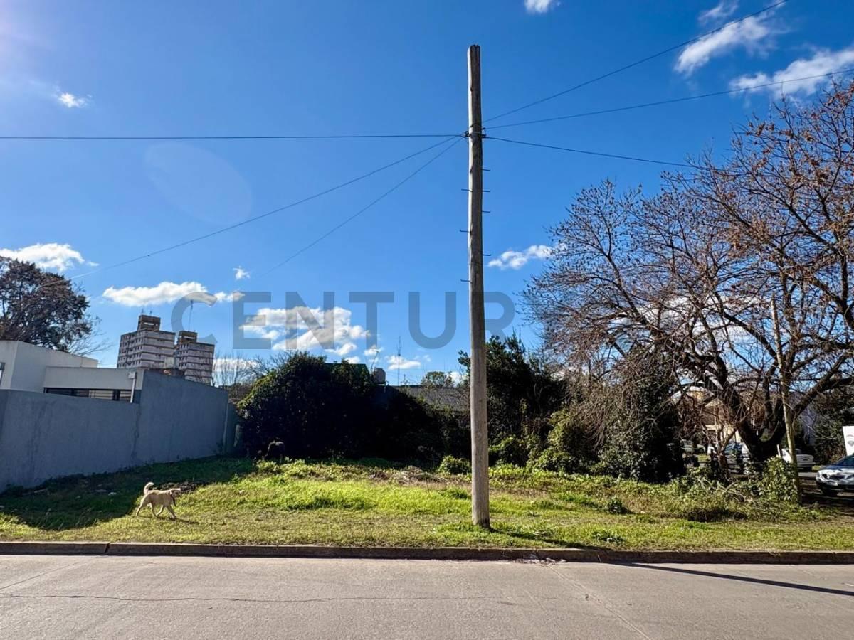 Foto de LOTES EN VENTA EN VILLA ELISA, imagen 3