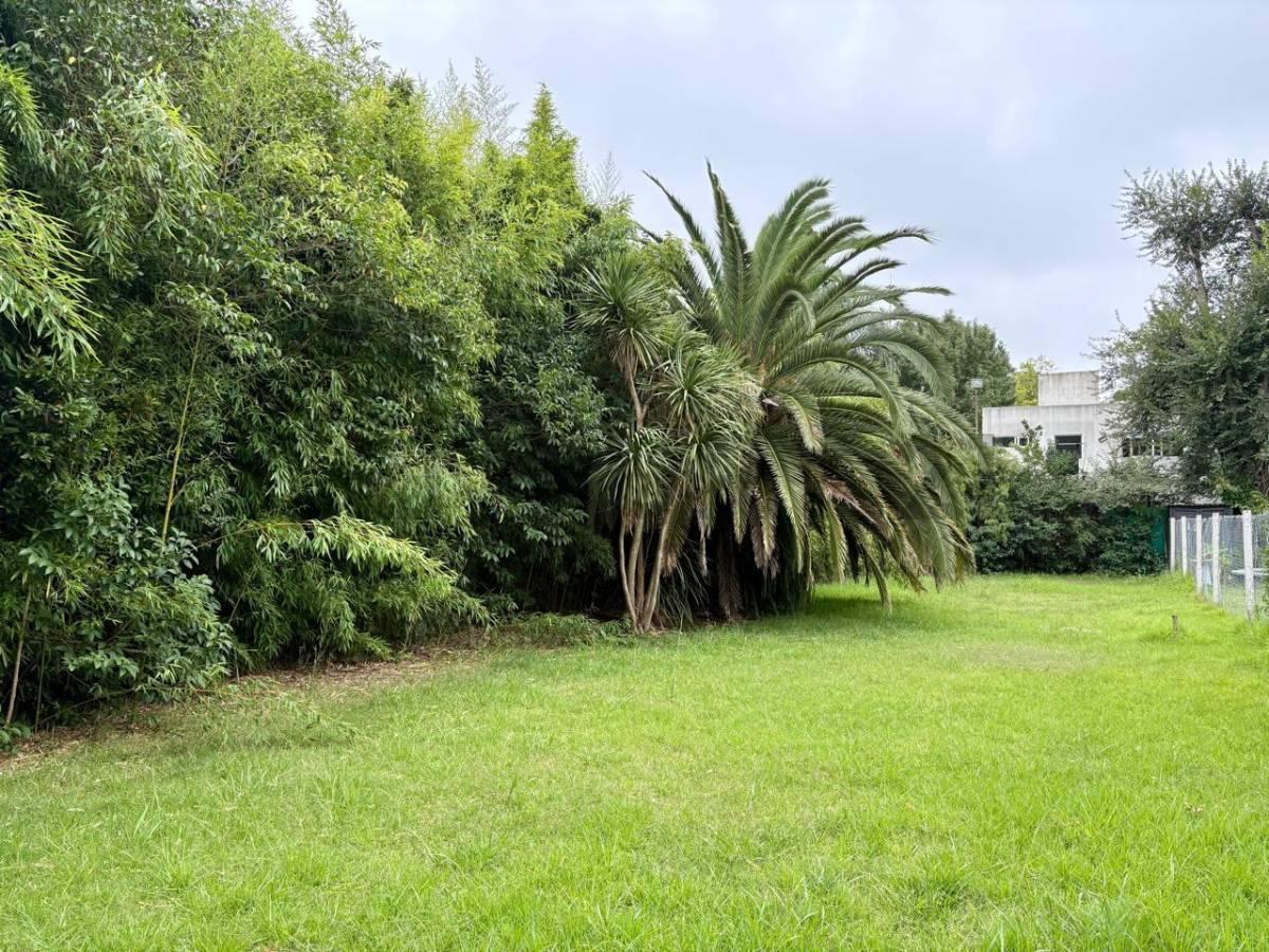 Foto de Lote en venta en Gonnet, imagen 5