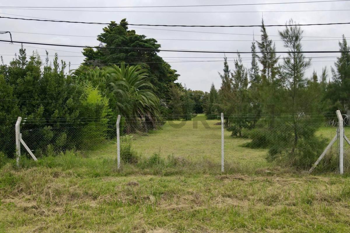Foto de Lote en venta en La Plata, imagen 4