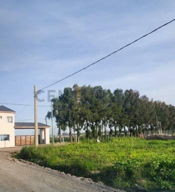 Foto de Lote en venta Barrio San José ETCHEVERRY La Plata, imagen 1
