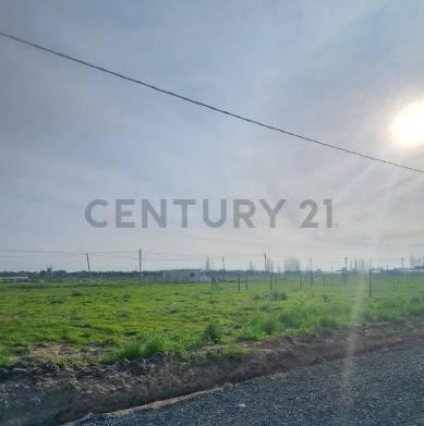 Foto de Lote en venta Barrio San José ETCHEVERRY La Plata, imagen 4