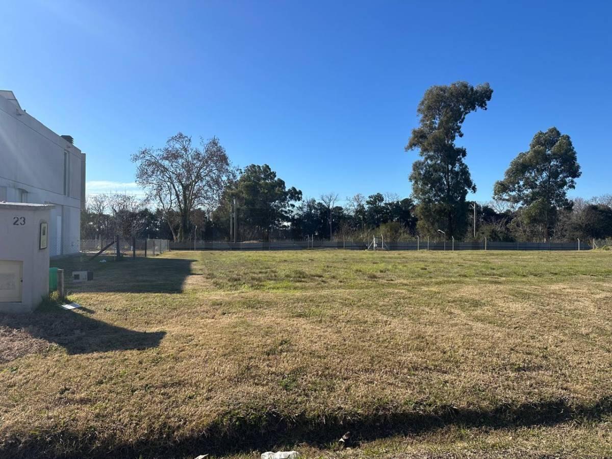 Foto de Venta de Terreno en Barrio Greenville, imagen 2