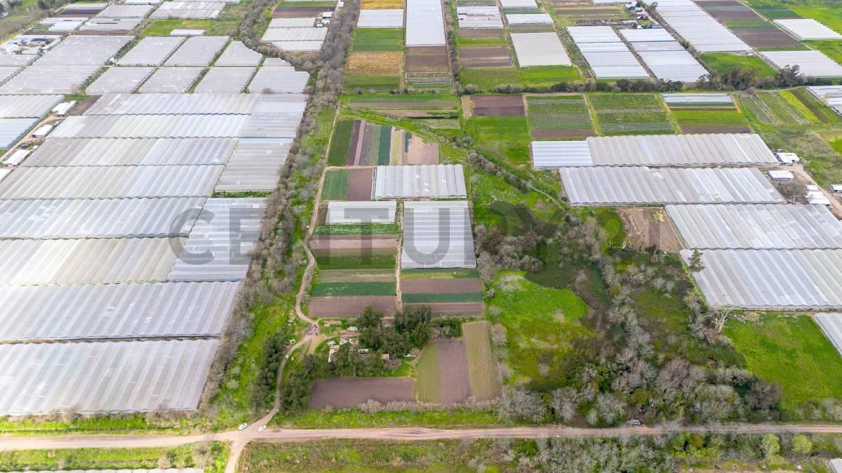 Foto de Venta de 5 hectares agricolas, imagen 1