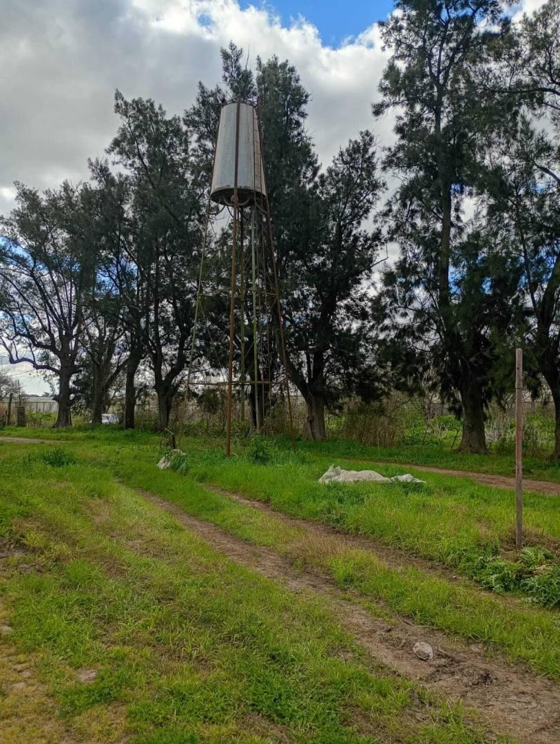 Foto de Venta de 5 hectares agricolas, imagen 5