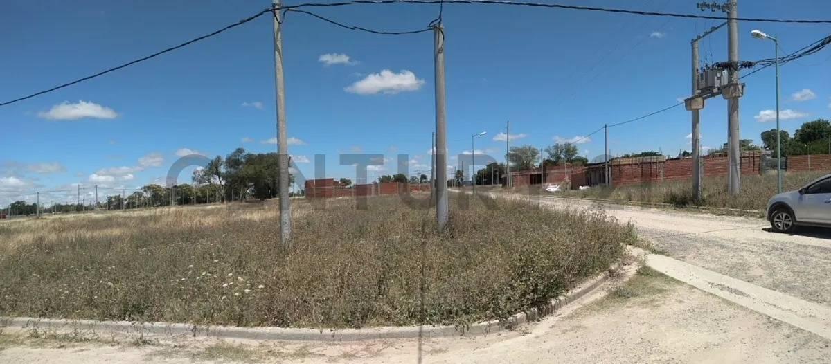 Foto de Lote en Venta - V. Elvira - USD 18.500 - 375 m2, imagen 2