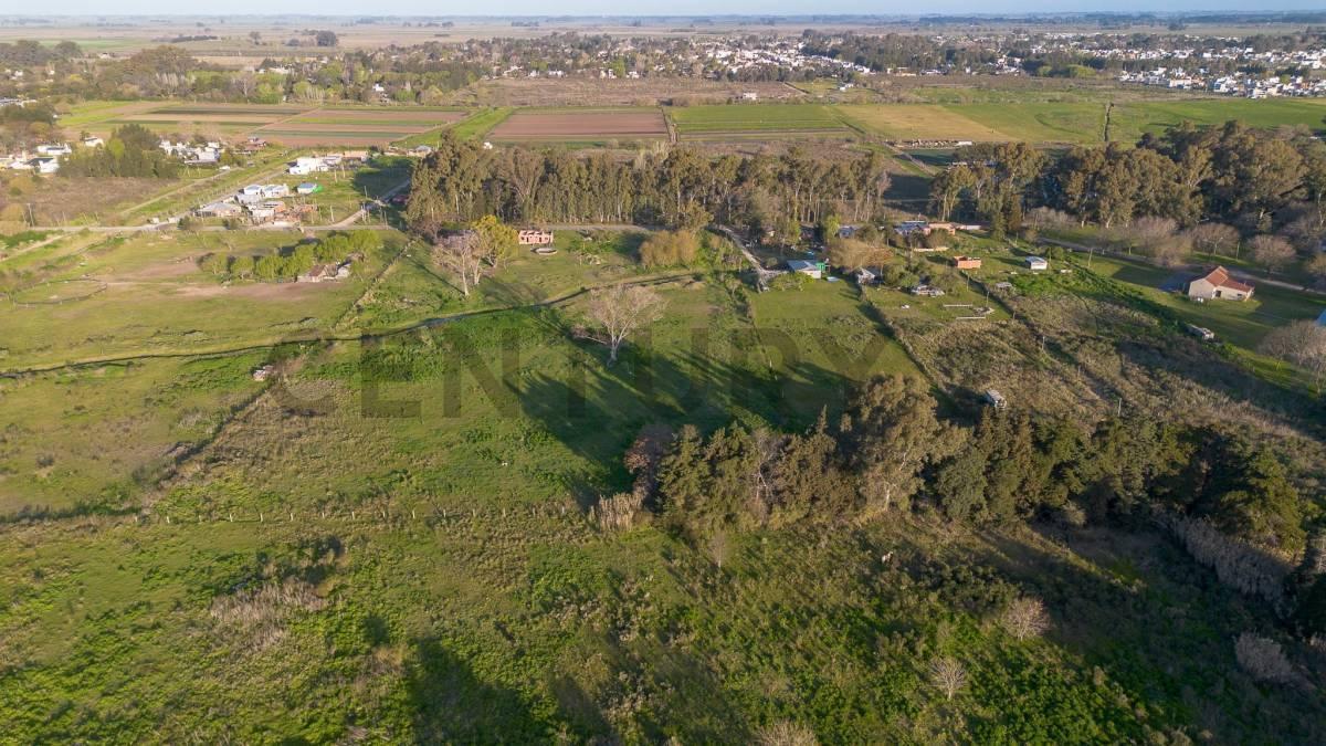 Foto de LOTE EN VENTA EN SICARDI HECTAREA EN VILLA GARIBALDI, imagen 1