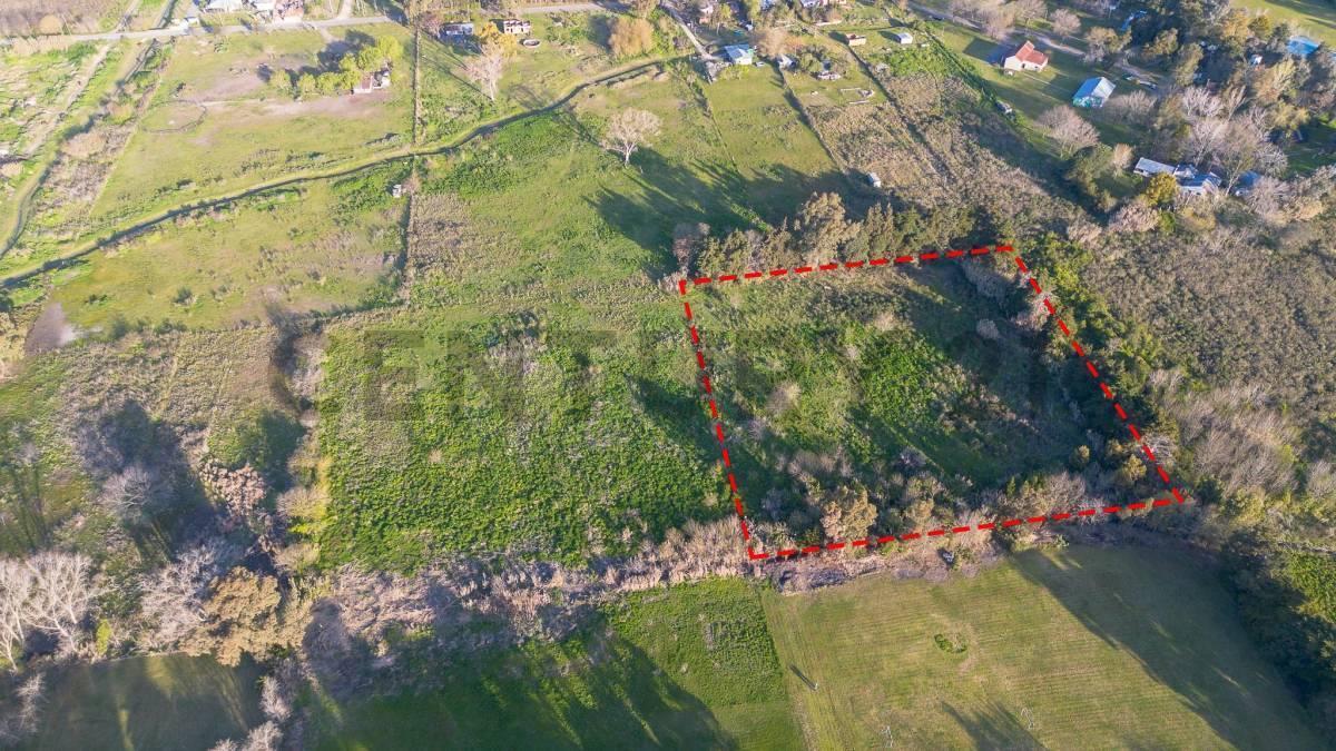 Foto de LOTE EN VENTA EN SICARDI HECTAREA EN VILLA GARIBALDI, imagen 4