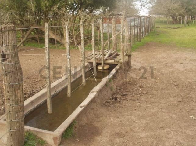 Foto de Campo en venta en Chascomús, imagen 5