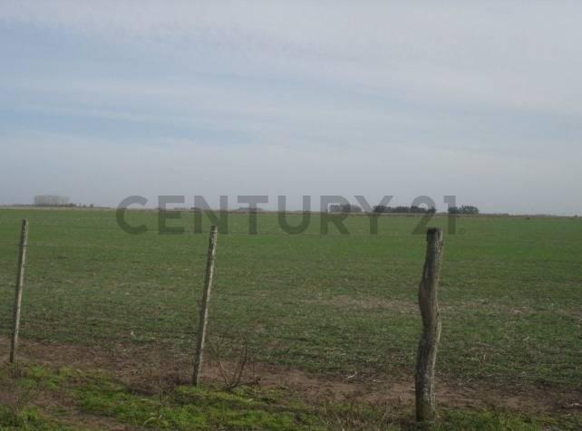 Foto de Campo en venta en Chascomús, imagen 4