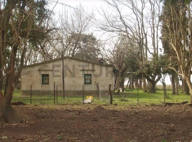Foto de Campo en venta en Chascomús, imagen 2